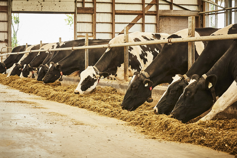 Farm Livestock Insurance - Erie Mutual Insurance