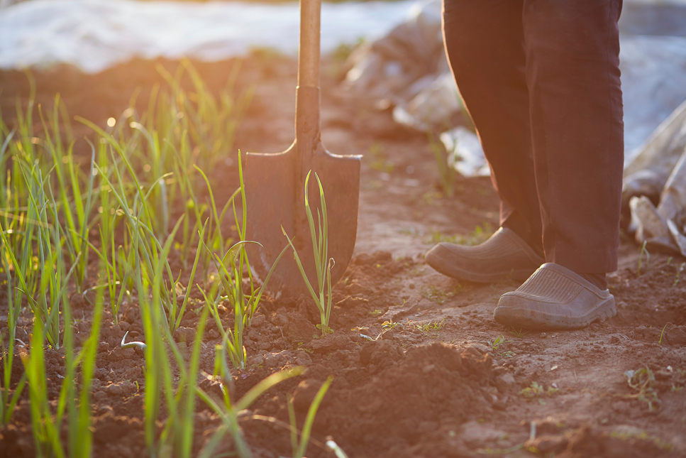 Ontario hobby farm insurance