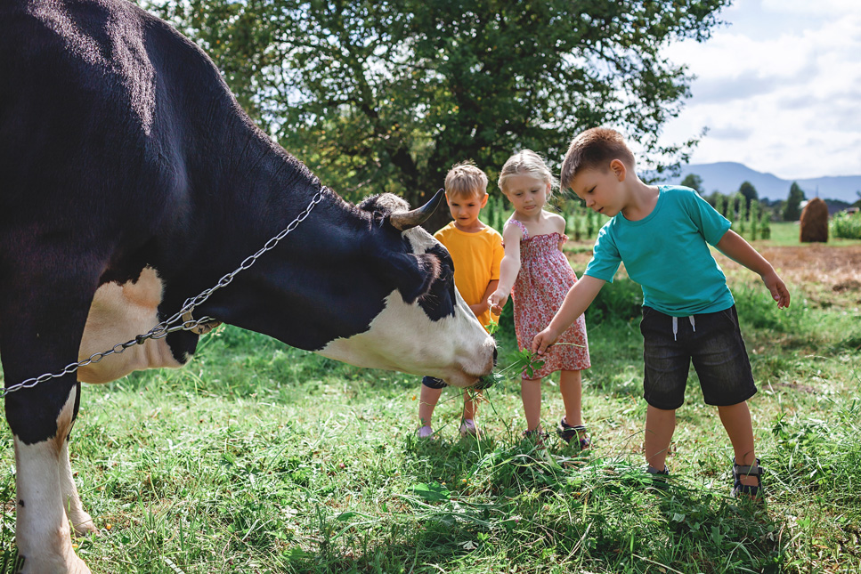 how to prevent children accidents on the farm