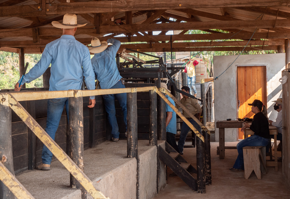 farmers working from heights on the farm